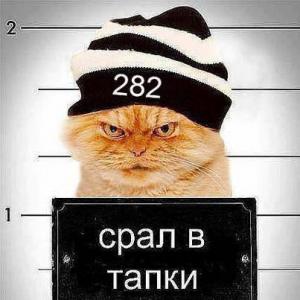 Интимное фото пользователя Real777 в объявлении №14946 на SexKompas