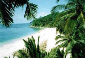 Интимное фото пользователя Аноним в объявлении №2673 на SexKompas