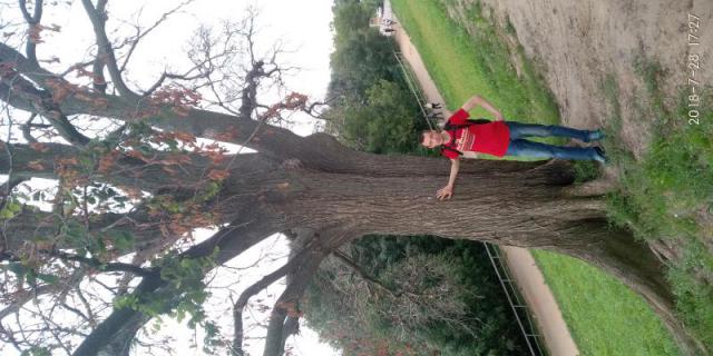 Николай (pipol82), фото на аватарке SexKompas Москва